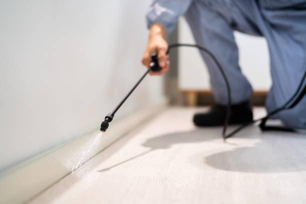 Licensed Termite Control service in Worcester, MA - Show Me Pest Control