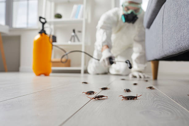 Commercial Kitchen Cockroach Control in Worcester